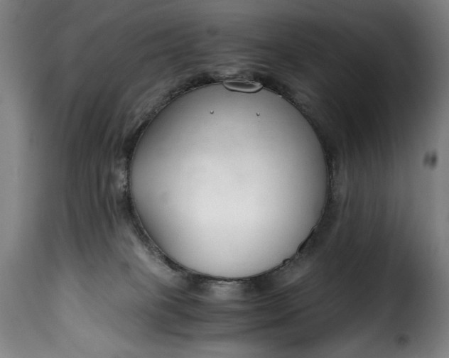 X0000115480085200911201850