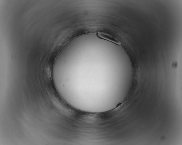 X0000115480086200911201850