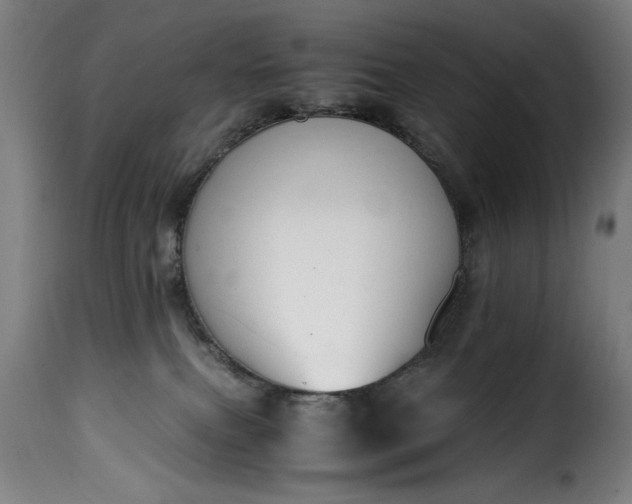 X0000115480087200911201850