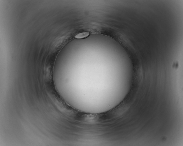 X0000115480088200911201850