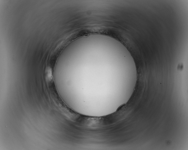 X0000115480089200911201850