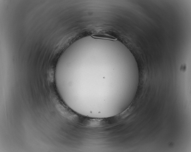 X0000115480090200911201850