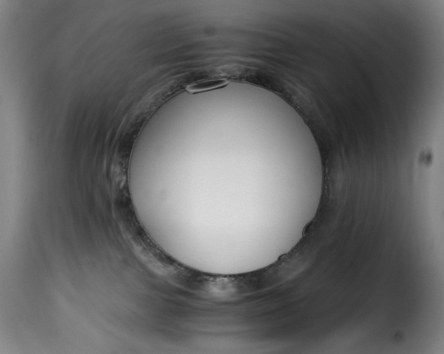 X0000115480091200911201850