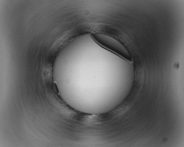 X0000115480092200911201850