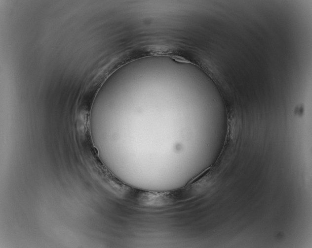 X0000115480093200911201850