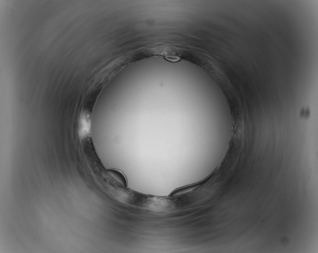 X0000115480095200911201850