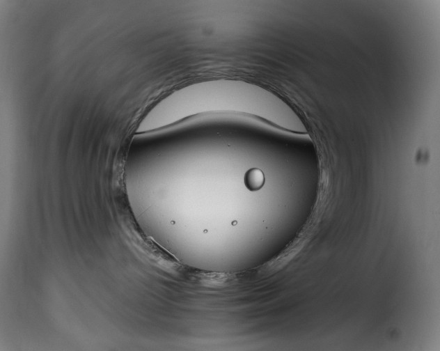 X0000115480096200911201850