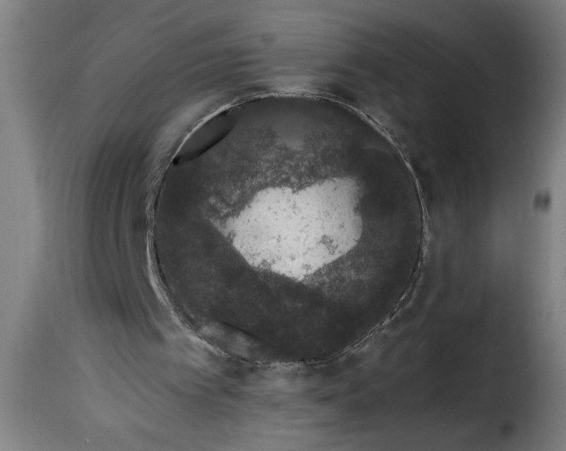 X0000115480097200911201849