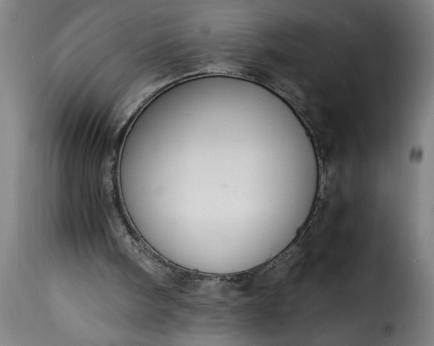 X0000115480098200911201849