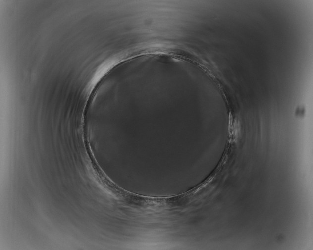 X0000115480099200911201849