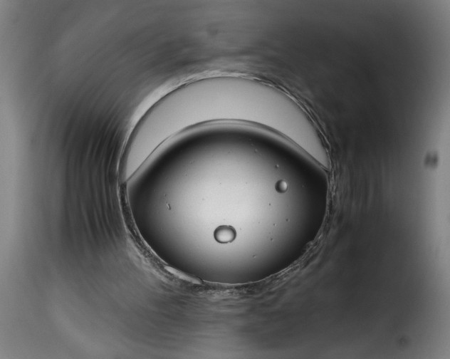 X0000115480100200911201849