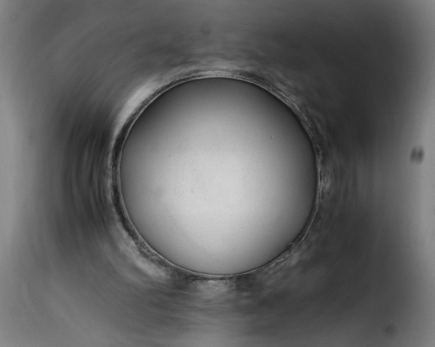 X0000115480102200911201849