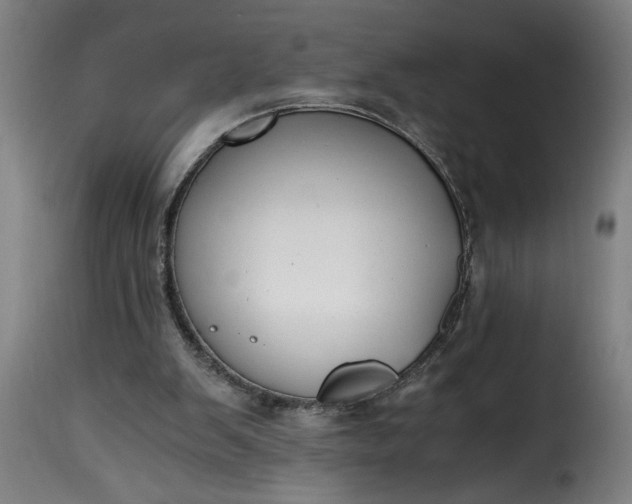 X0000115480103200911201849