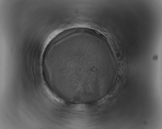 X0000115480104200911201849