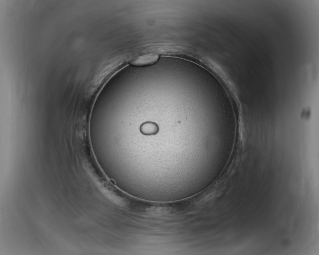 X0000115480105200911201849