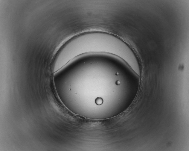 X0000115480108200911201849