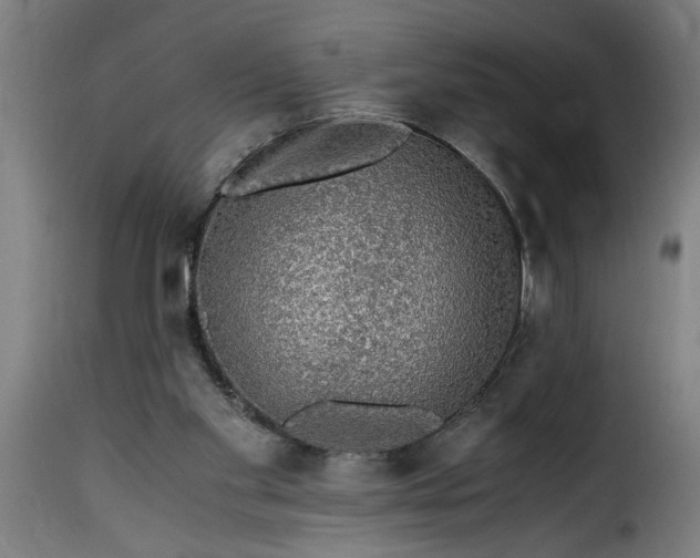 X0000115480109200911201849