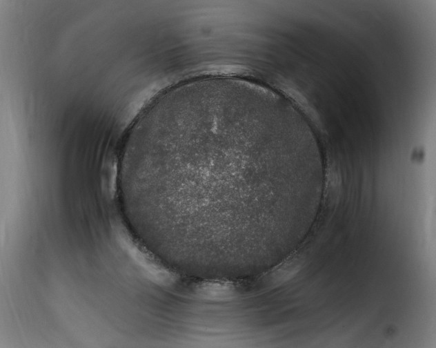 X0000115480110200911201849