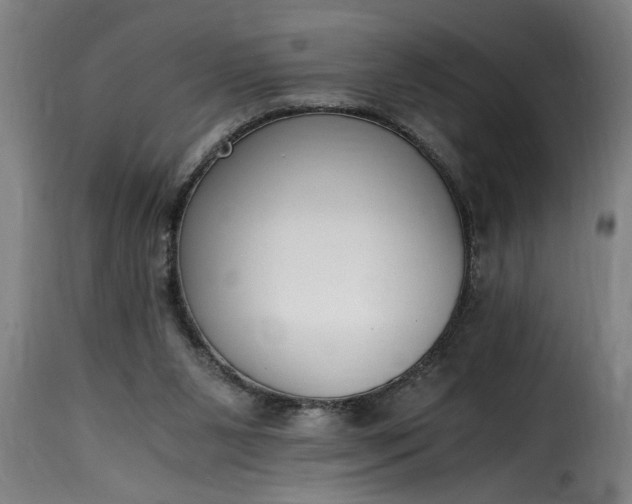 X0000115480111200911201849