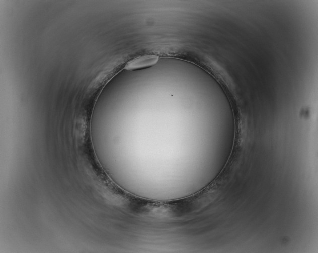 X0000115480113200911201849