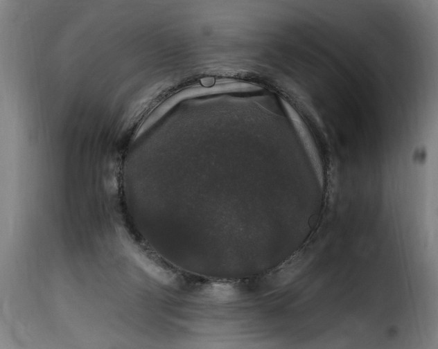 X0000115480114200911201849