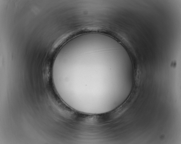 X0000115480116200911201849