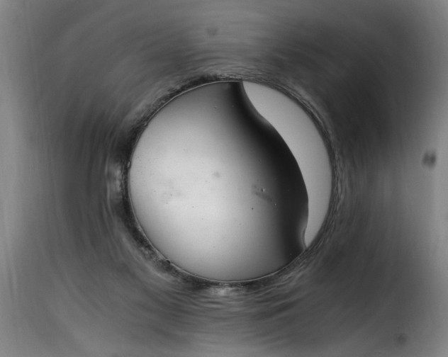 X0000115480117200911201849