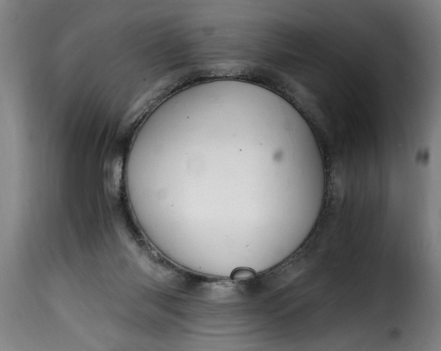 X0000115480118200911201849