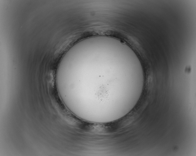 X0000115480121200911201849