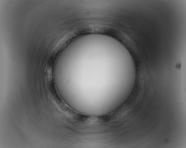 X0000115480123200911201849