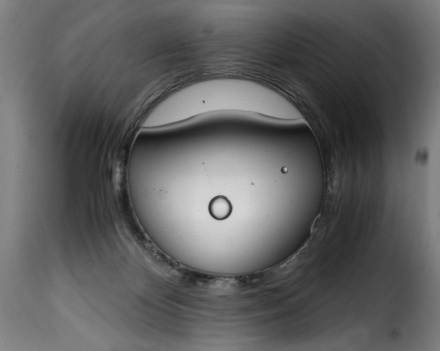 X0000115480124200911201849