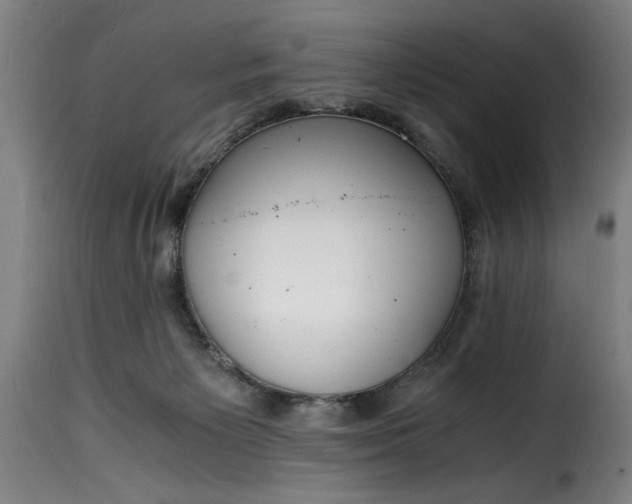 X0000115480125200911201849