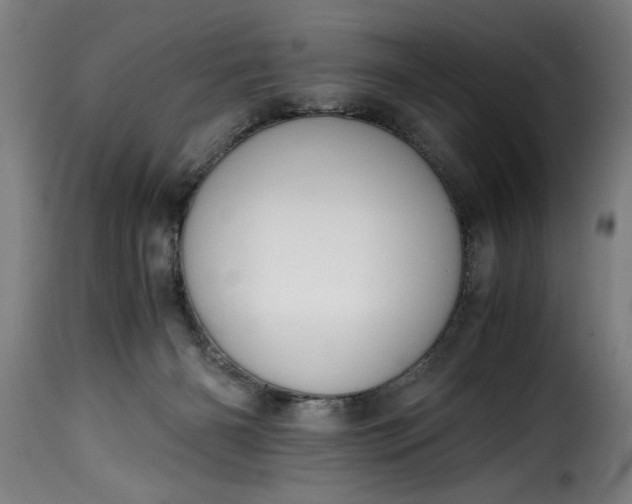 X0000115480126200911201849