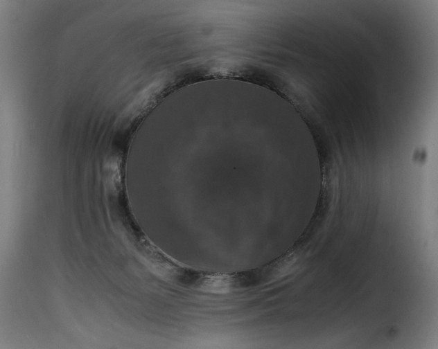 X0000115480127200911201849