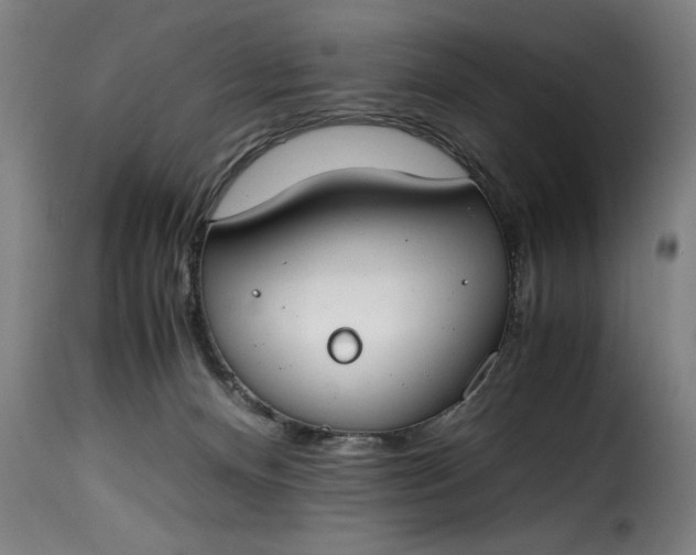 X0000115480128200911201849