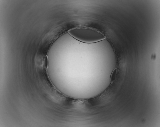 X0000115480129200911201849