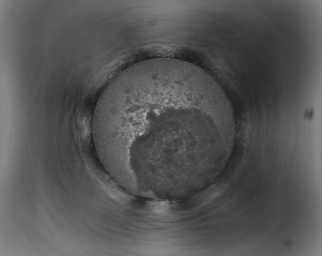 X0000115480131200911201849