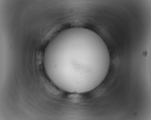 X0000115480133200911201848