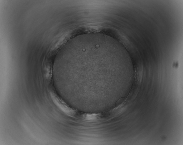 X0000115480134200911201848