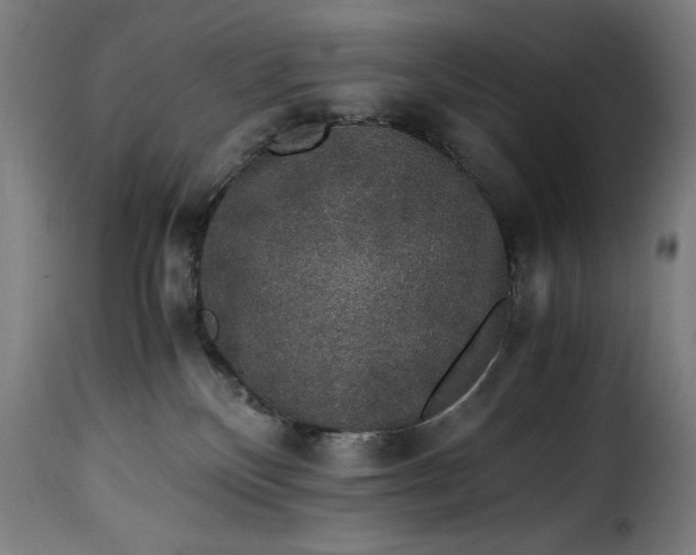 X0000115480136200911201848