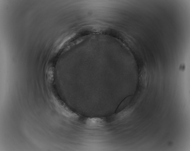 X0000115480137200911201848