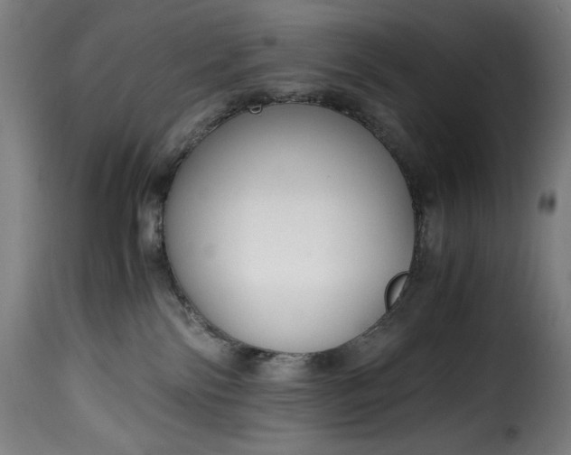 X0000115480138200911201848