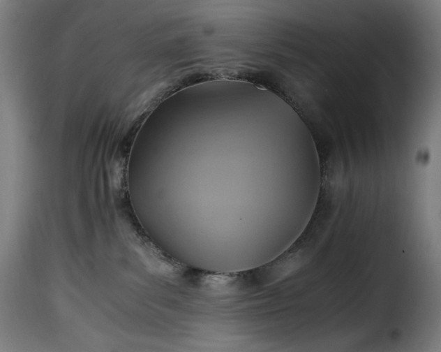 X0000115480139200911201848