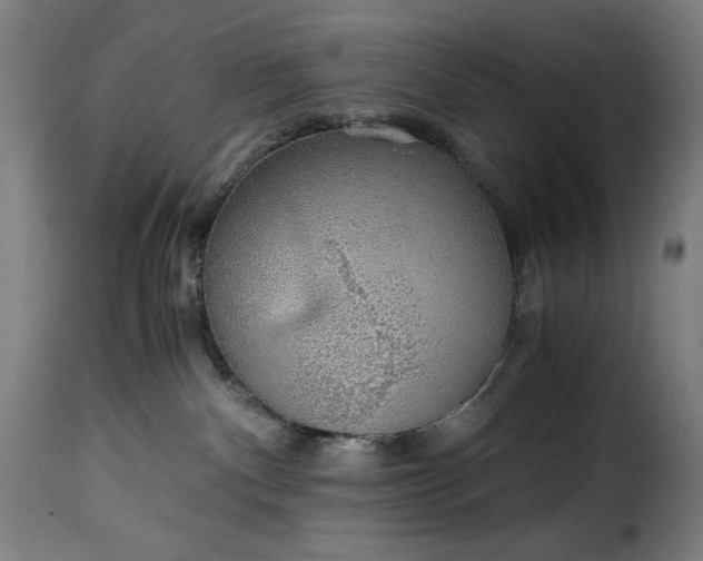 X0000115480140200911201848