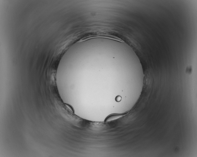 X0000115480141200911201848