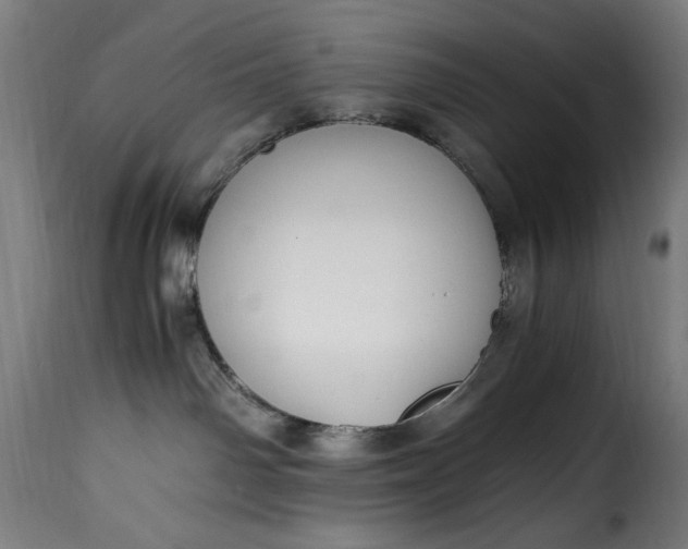 X0000115480142200911201848