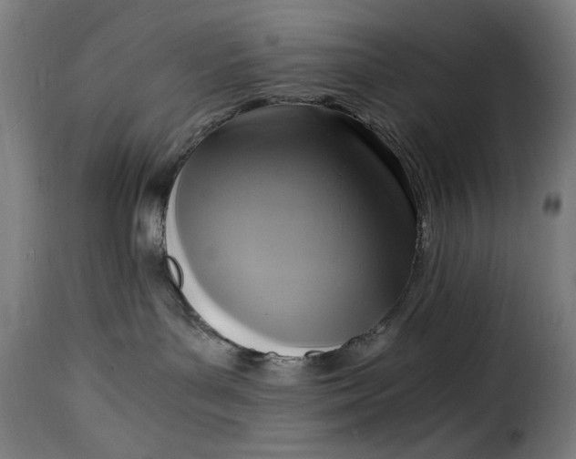 X0000115480143200911201848