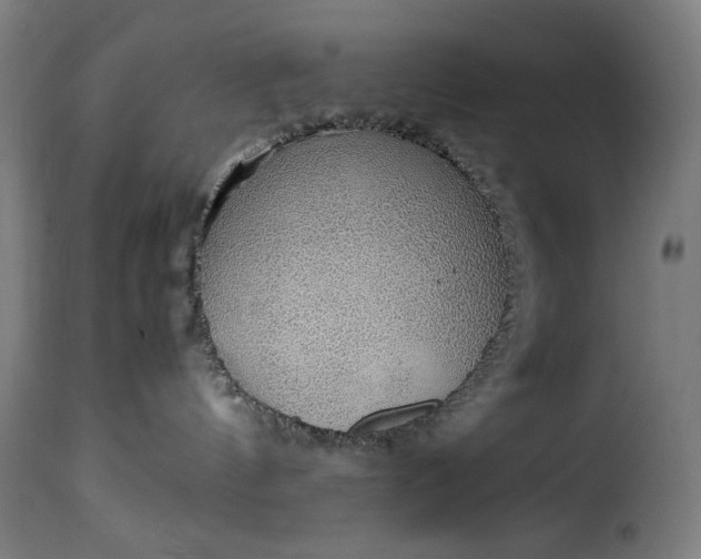 X0000115480144200911201848