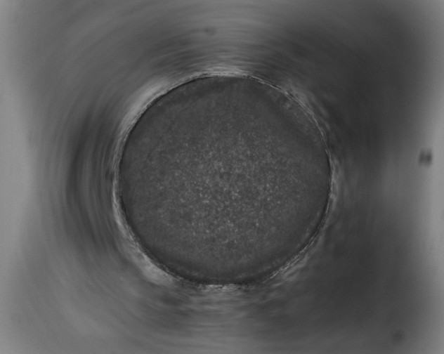 X0000115480145200911201848