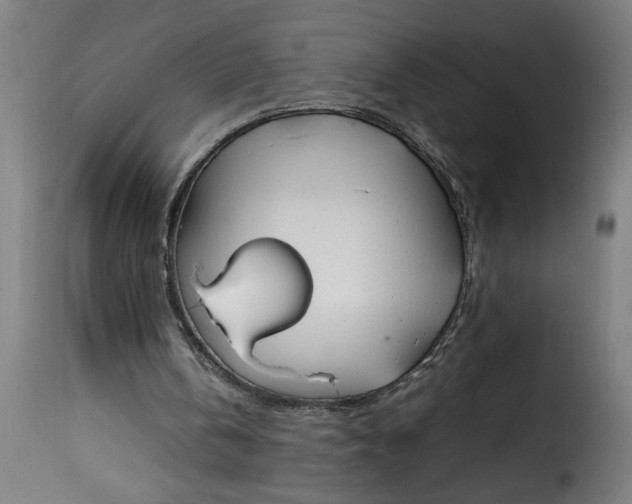 X0000115480146200911201848